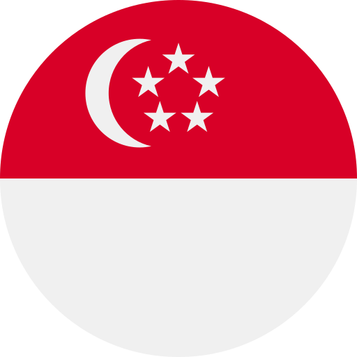 Singapur 1GB - 10 días